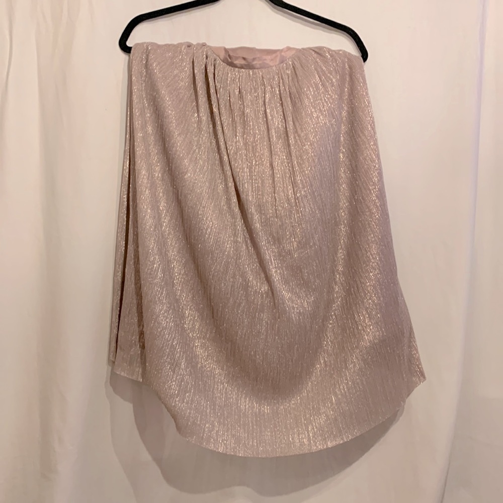 Zara tulle skirt